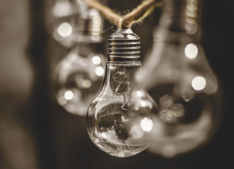 Sustainability and Green Living